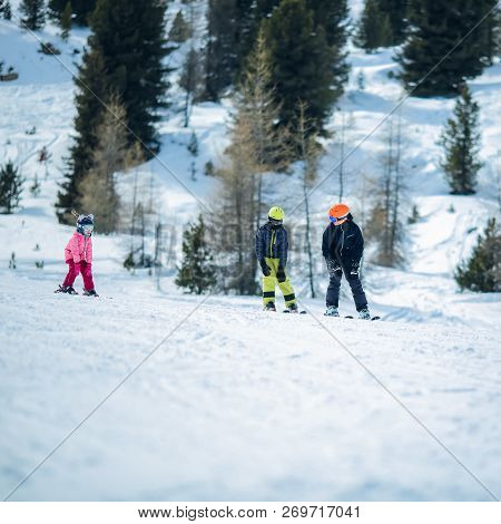 Winter Scene: A Group Of Children Are Learning To Ski