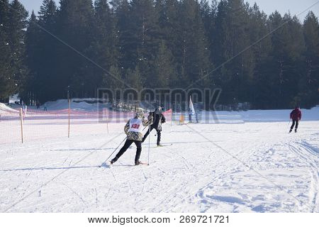 Skiers During A Nordic Skiing Marathon Ski