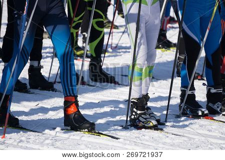Men And Women Skiers Skiing In Winter, Ski Marathon