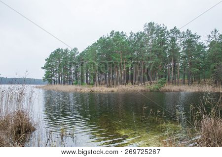 Lake At Autumn, Water And Trees. Travel Photo 2018.