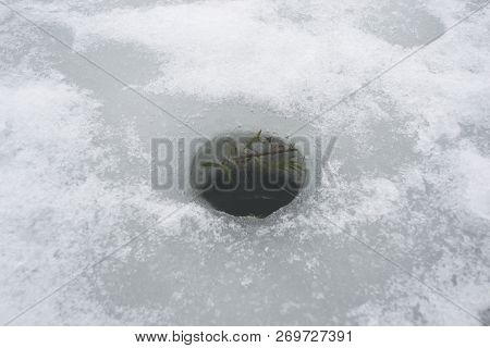 Cut Hole For Ice Fishing With Algae Inside It, Top View