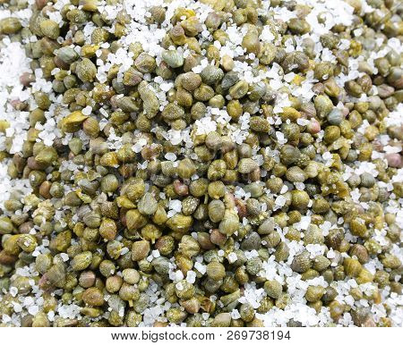 Capers Under Salt Typical Food Of Southern Italy