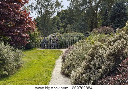 Garden Of The Dionysus Of Botanical Park Of High Bretagne Has In Particular A Collection Of Daphnes 