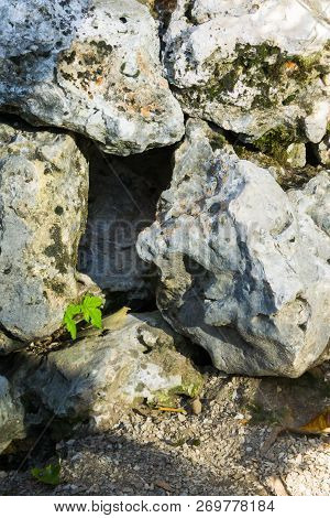 Empty Hole Between Some Big Rocks Animal Hideout