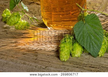Detail Of Beer Glas And Raw Material For Beer Production