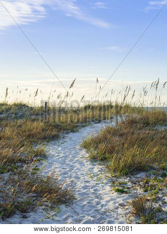 Well-worn Path Over The Sand Dunes And Down To The Sea.