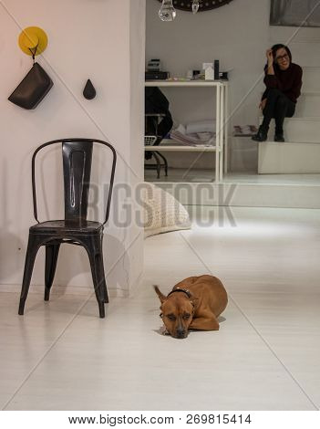 Naples, Italy - 04 November, 2018. Streetlife In Napoli. Shop With Sad Dog