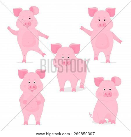 A Set Of Cute Piggy Characters In Different Poses, Sitting, Standing, Walking, Hand Up And Down. Fun