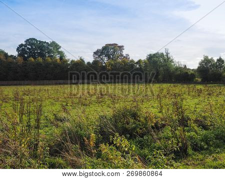 Grantchester Meadows In Cambridge