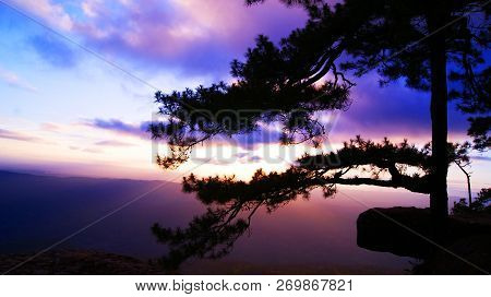 Beautiful Sunset Pine Tree Cliff Pha Lomsak At Phu Kradueng National Park  Loei Thailand - Colorful 