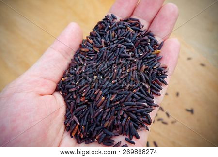 Thai Organic Riceberry In Hand / Pile Of Raw Riceberries On Hand Wood Background Product Agriculture