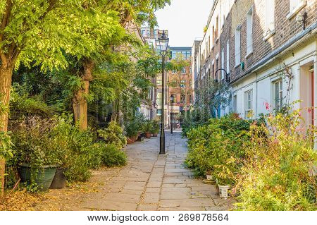 London. November 2018. A View Of Colville Place And Its Plants In London