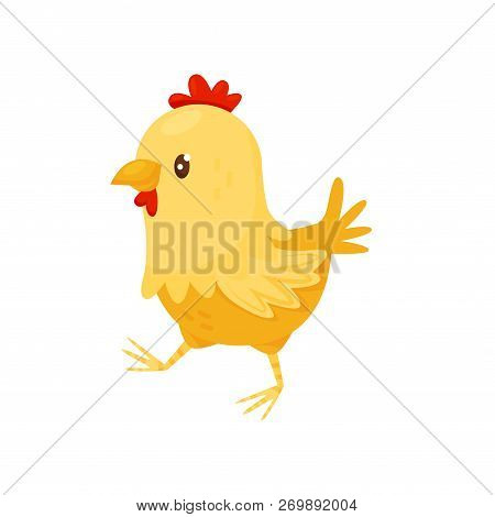 Cute Yellow Chicken With Red Scallop. Little Farm Bird. Flat Vector For Children Book Or Mobile Game
