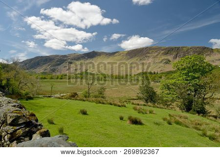 Scenery At The Foot Of Derwentwater Near Borrowdale In The English Lake District