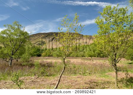 Scenery At The Foot Of Derwentwater Near Borrowdale In The English Lake District