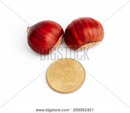 Two Roasted Chestnuts And One Forint, Hungarian Money Coin, Isolated On White Background. Selling Se