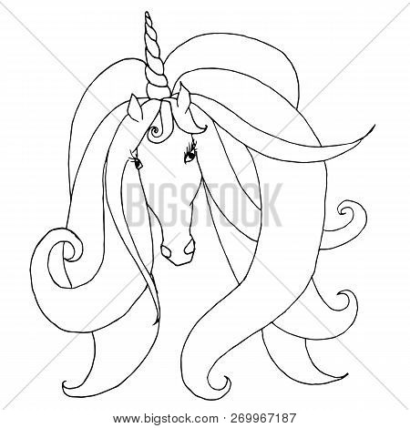 Sketch Of Unicorn Head Silhouette With Lush Mane On White Stock Vector Illustration For Web, For Pri