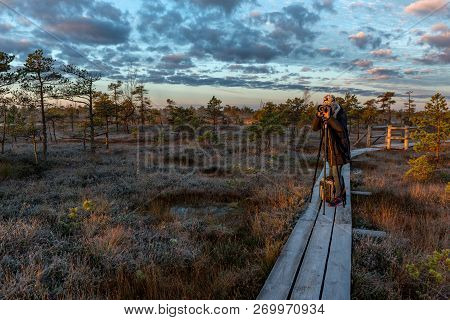 Kemeri. Latvia. Photographer Photographs The Sunrise In The Kemeri Bog In The Cold Autumn Morning.