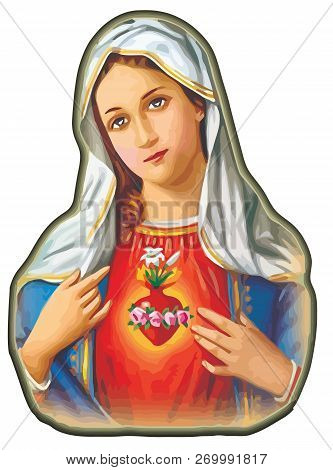 Immaculate Heart Of Lady Mary Sacred Faith Religion Mother Illustration