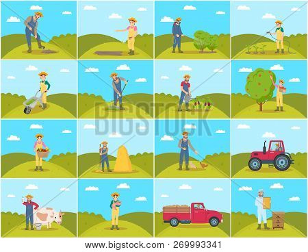 Farmer With Pig And Cow Breeding Of Domestic Animals. Lorry And Tractor, Seeds Sowing By Farming Wom