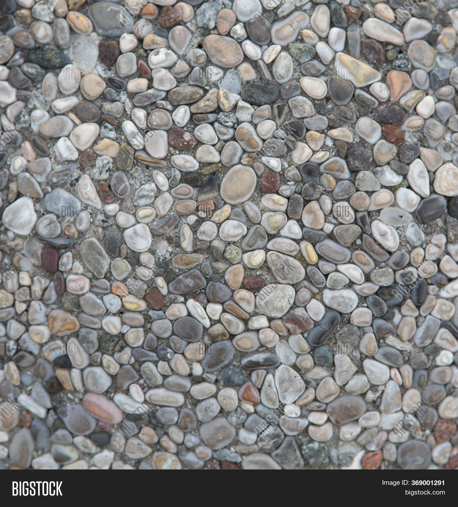 Pebble Walkway Image & Photo (Free Trial) | Bigstock