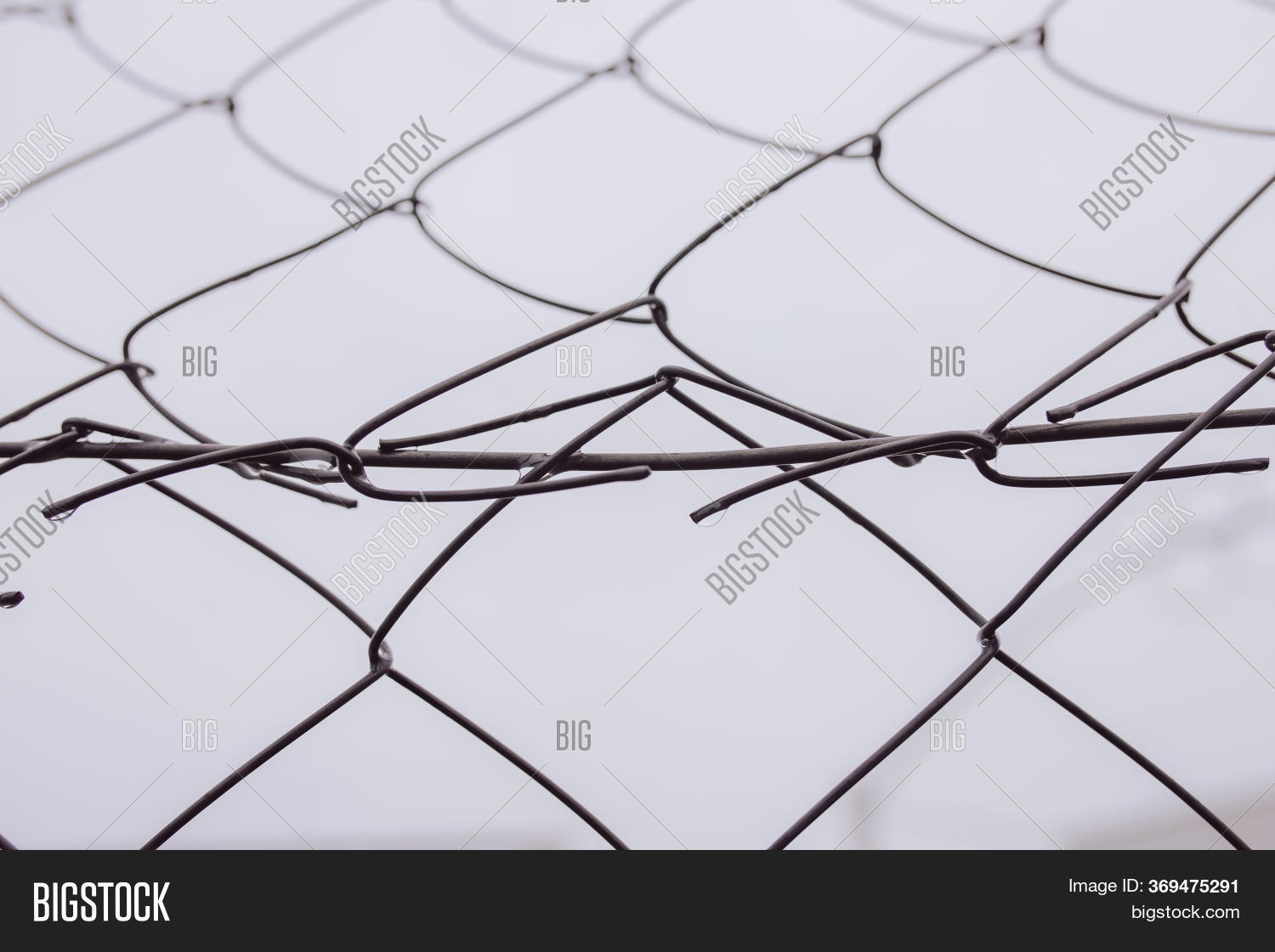 Closeup Below Wet Wire Image & Photo (Free Trial) Bigstock