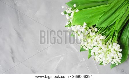 Colorful Flower. Flower In The Garden On A Sunny Summer Or Spring Day. Flower For Postcard Beauty De