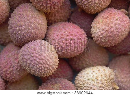 Liczi