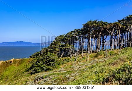 Lands End Park By Sutro Baths Ruins, Cliffs With Pacific Cypress Trees And The Pacific Ocean In The 