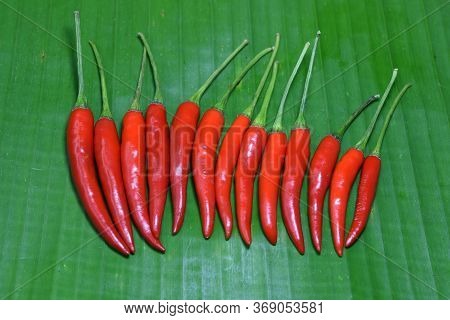 Blue Chili ( Red Chili Peppers ) Arrange On Green Banana Leaf