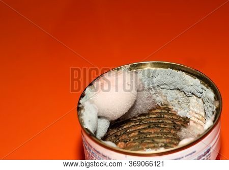 Mold In The Food Jar. Spoiled Food. Toxic Canned Food.