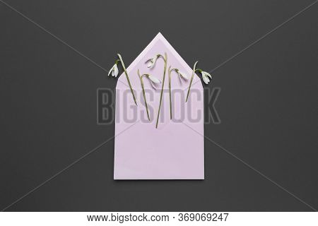 Fresh Beautiful Snowdrops Flowers In Envelope Isolated On Black Background. Invitation On Wedding Or