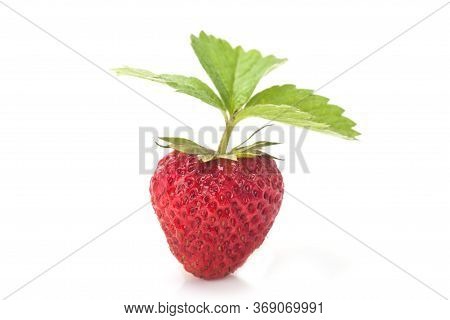 Strawberry Whit Leaves Isolated On A White Background. Fresh Ripe Single Strawbery On White