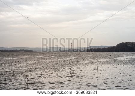 Belgrade Under The Rain Seen From Zemun, On Zemunski Kej, With An Industrial Chimney In Background I