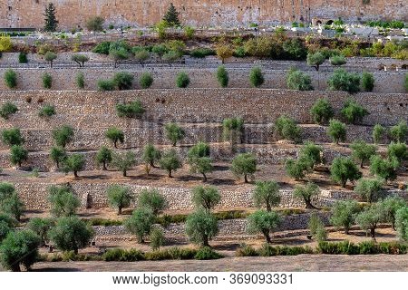 Terraces Of The Kidron Valley In The Old City In Jerusalem