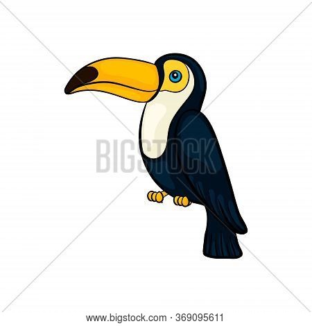 Hand Drawn Cute Cartoon Toucan Seating, Colorful Sketch Style Vector Illustration Isolated On White 