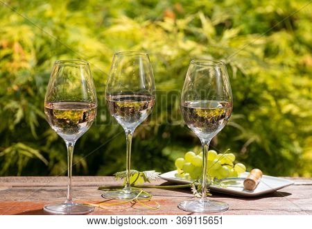 Tasting Of Pinot Gridgio Rose Wine On Winery In Veneto, Italy. Glasses Of Cold Dry Wine Served Outdo