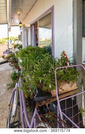 Kanaf, Israel, May 29, 2020 : The Flower Laden Courtyard Of The Azizo Lavender Farm In The Kanaf Set
