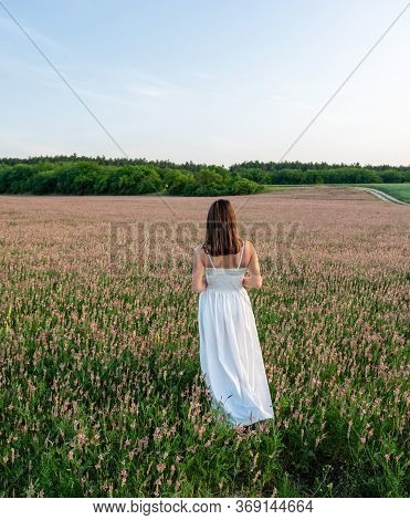 Bride In A White Dress In A Field Of Pink Flowers Sainfoin, Onobrychis Viciifolia. Wildflowers Backg