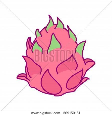 Vector Cute Drawn Fruit Clipart Pitaya Dragonfruit