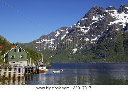 Norwegian Fjord