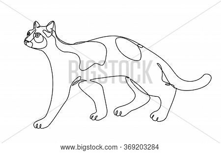 Ordinary Spotted Cat, Home Pet, For An Emblem, Logo, Ornament Or Decoration Element, Vector Illustra