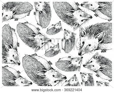 Autumn Animal, Illustration  Background Of Hand Drawn Of Hedgehogs. Symbolic Animal To Show The Sign