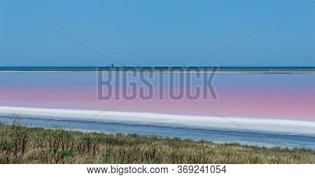 Brine And Salt Of A Pink Lake Koyash Colored By Microalgae Dunaliella Salina, Famous For Its Antioxi