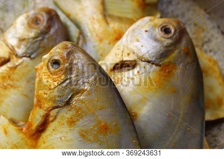 Cropped And Close View Of Sea Fish 'pomfret'.  Fresh Raw Sea Fish Ready To Cook Display With Selecti