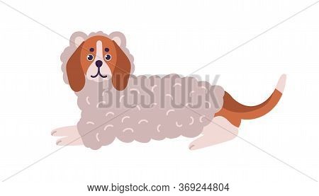 Cute Colorful Dog Beagle Breed Wearing Funny Woolen Sheep Costume Vector Flat Illustration. Adorable