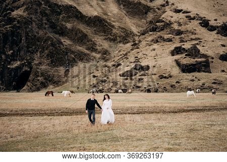 Wedding Couple On The Background Of A Rocky Mountain And Grazing Horses In Iceland. The Bride And Gr