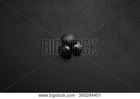 Trendy Minimalistic Matte Black Background With Shells.