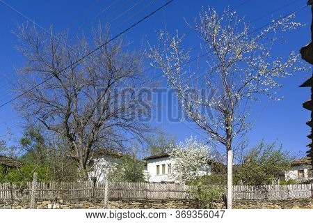 Typical Street And Old Houses At Historical Village Of Staro Stefanovo, Lovech Region, Bulgaria