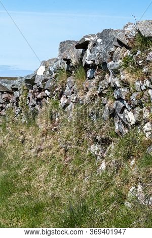 View Of Grass Growing Out Of A Drystone Wall